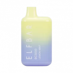 ELF BAR LEMON MINT BC5000 DISPOSABLE POD IN PAKISTAN