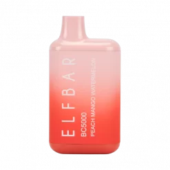 ELF BAR PEACH MANGO WATERMELON BC5000 DISPOSABLE POD IN PAKISTAN