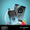 Posh Max 2.0 Disposable Vape - Blueberry Ice 50mg (5200 Puffs)