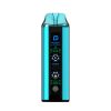 Posh Plus 2.0 Disposable - Arctic Blueberry 50mg (20000Puffs)