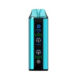 Posh Plus 2.0 Disposable - Arctic Blueberry 50mg (20000Puffs)